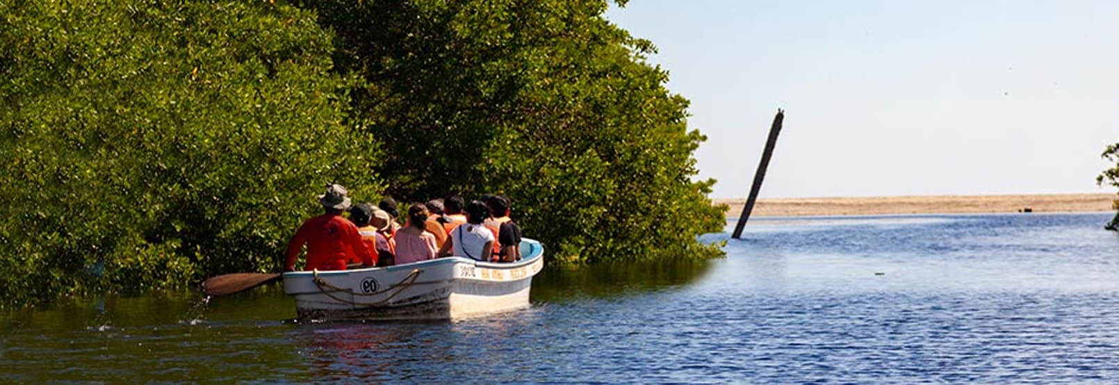 Aventura y Ecoturismo en oaxaca